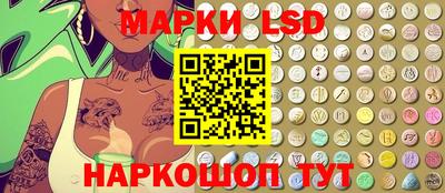 шишки Будённовск