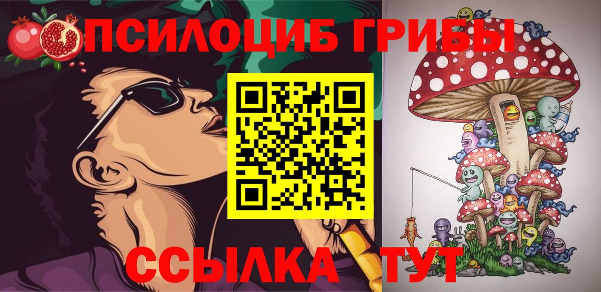 Псилоцибиновые грибы Psilocybe Лысьва